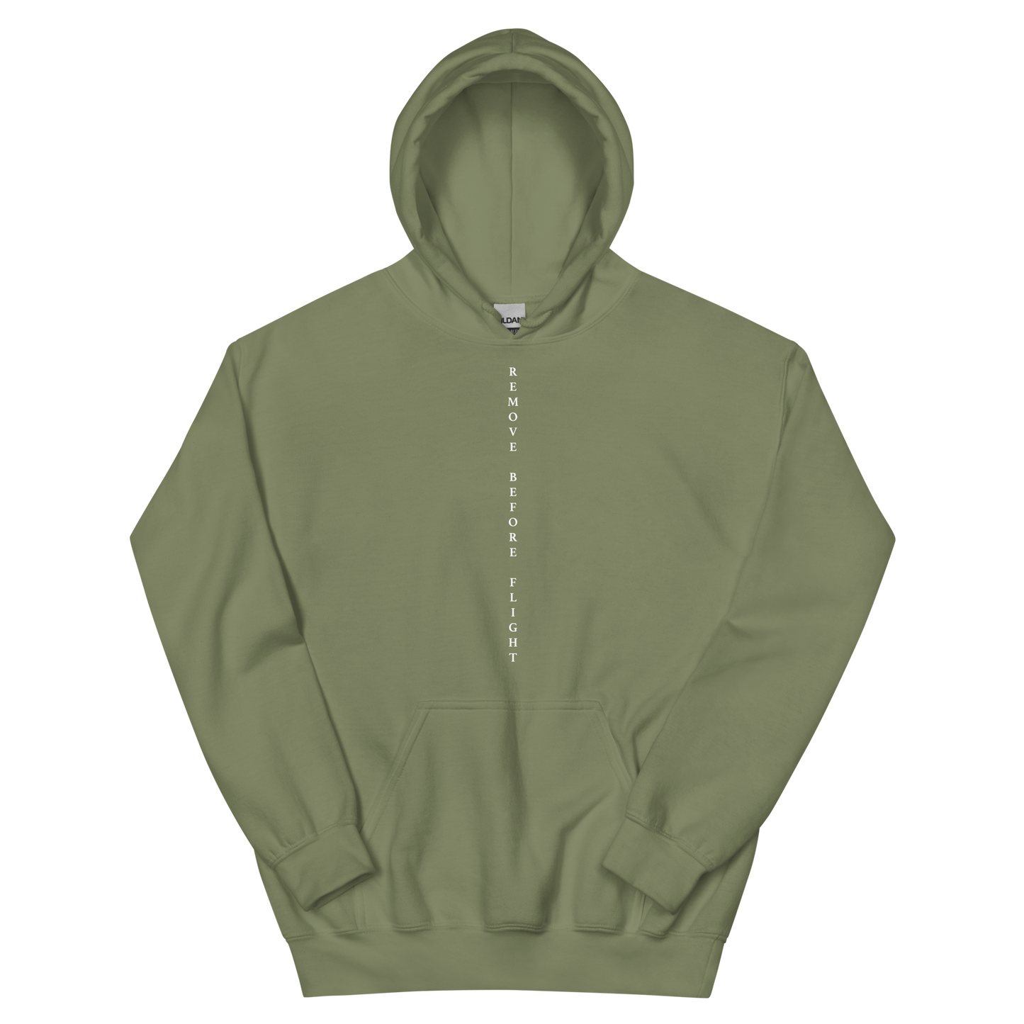 Remove Before Flight Hoodie