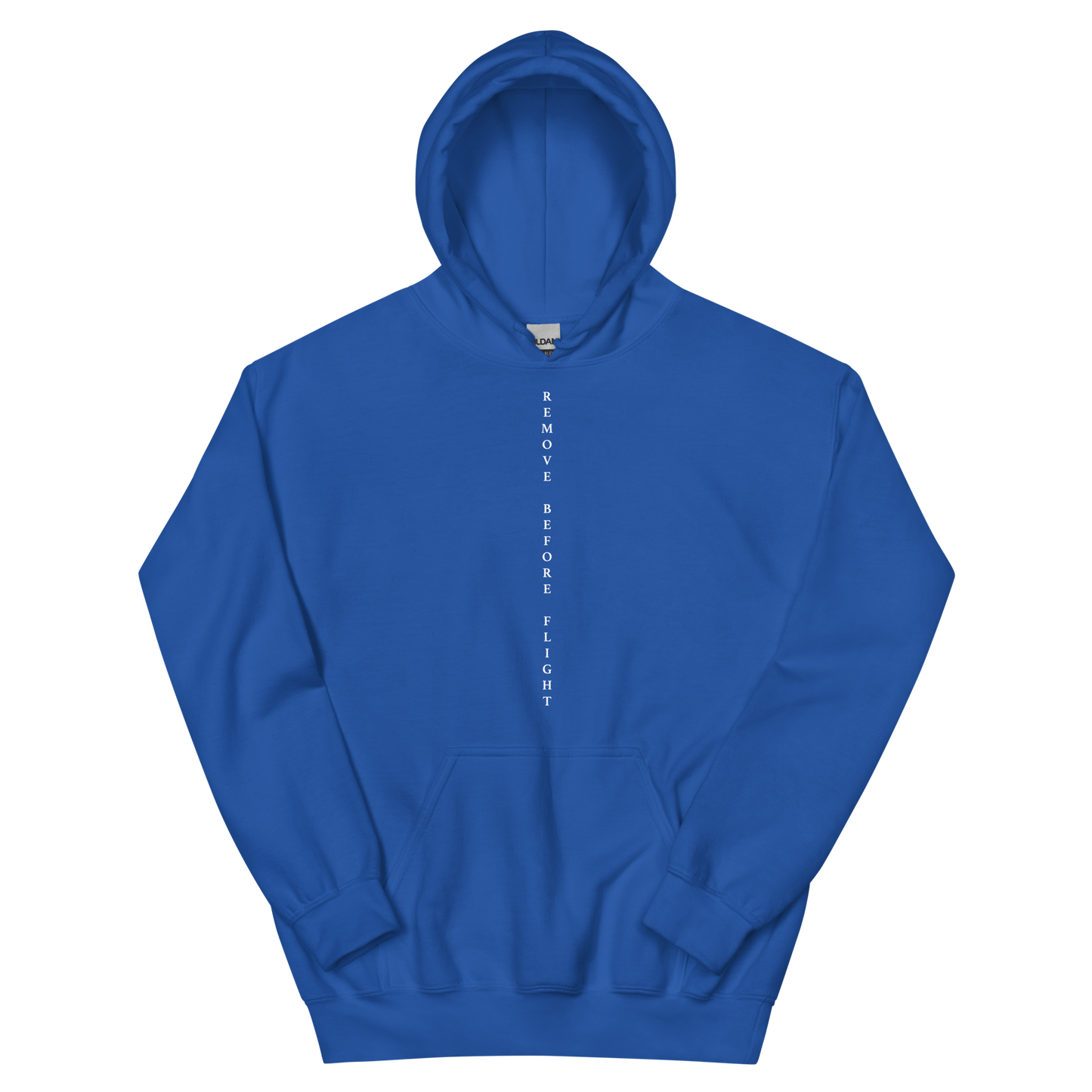 Remove Before Flight Hoodie